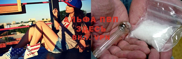 Альфа ПВП Белокуриха