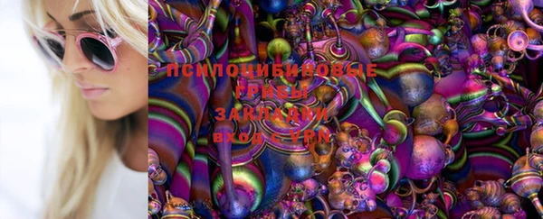 стафф Белоозёрский