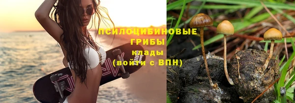 Альфа ПВП Белокуриха