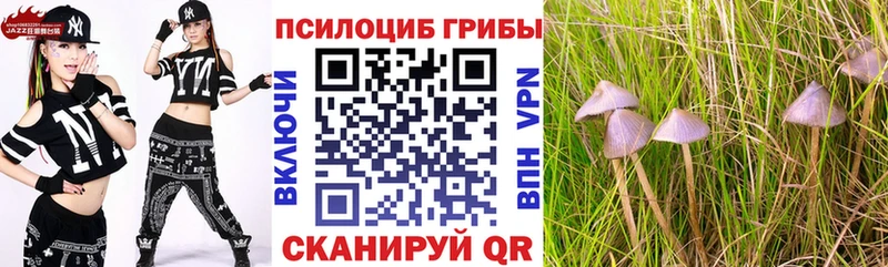 Галлюциногенные грибы мухоморы  купить наркотик  Камешково 